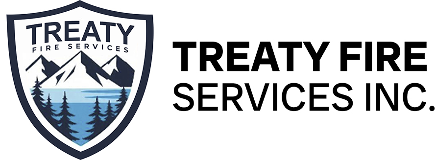 logo TREATY FIRE SERVICES